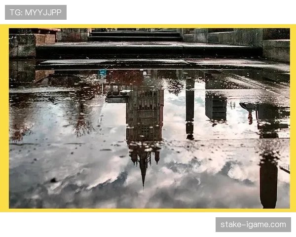 诺维奇卡罗路魔力引领未来城市出行新潮流