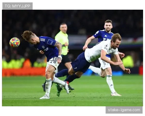 热刺欧战征程回顾：状态回暖下的辉煌与挑战并存