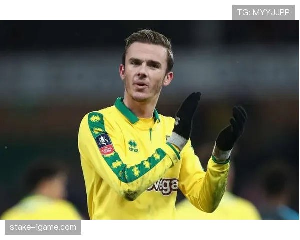 詹姆斯·麦迪逊