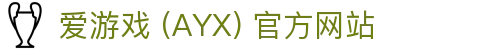 爱游戏(ayx)体育 官方站点 AYX SPORTS 综合服务